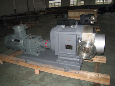 普利施65PLST6-10 日用化工轉子泵,甘油、化妝品料漿輸送泵 價格優惠歡迎咨詢圖片_高清圖_細節圖-江蘇普利施泵業 -